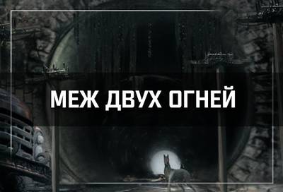 S.T.A.L.K.E.R. Зов Припяти - Меж Двух Огней (2021) PC/MOD