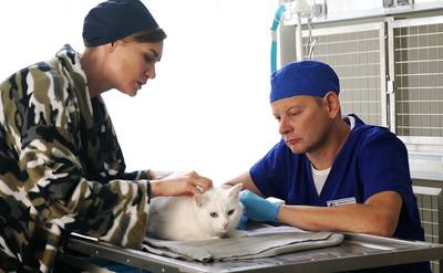 скриншот к Котейка (2021) Сериал 1,2,3,4 серия